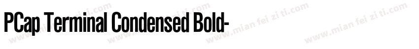 PCap Terminal Condensed Bold字体转换